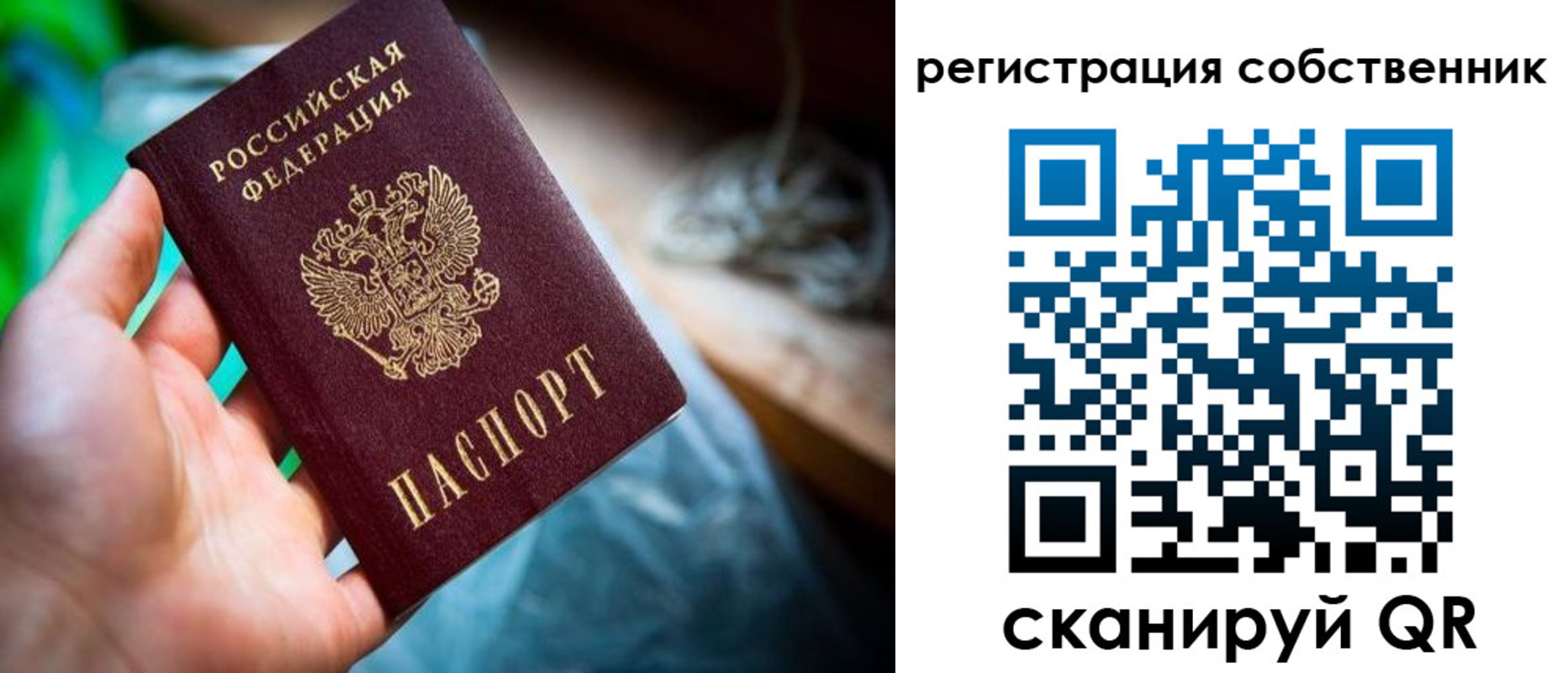 прописка гарантия в Болотном